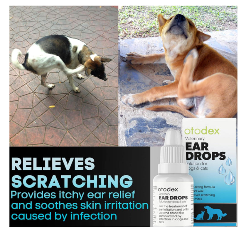 2 X 14Ml Petlife Otodex Ear Drops Dog Cat Clears Wax Mites Cleanser Itching