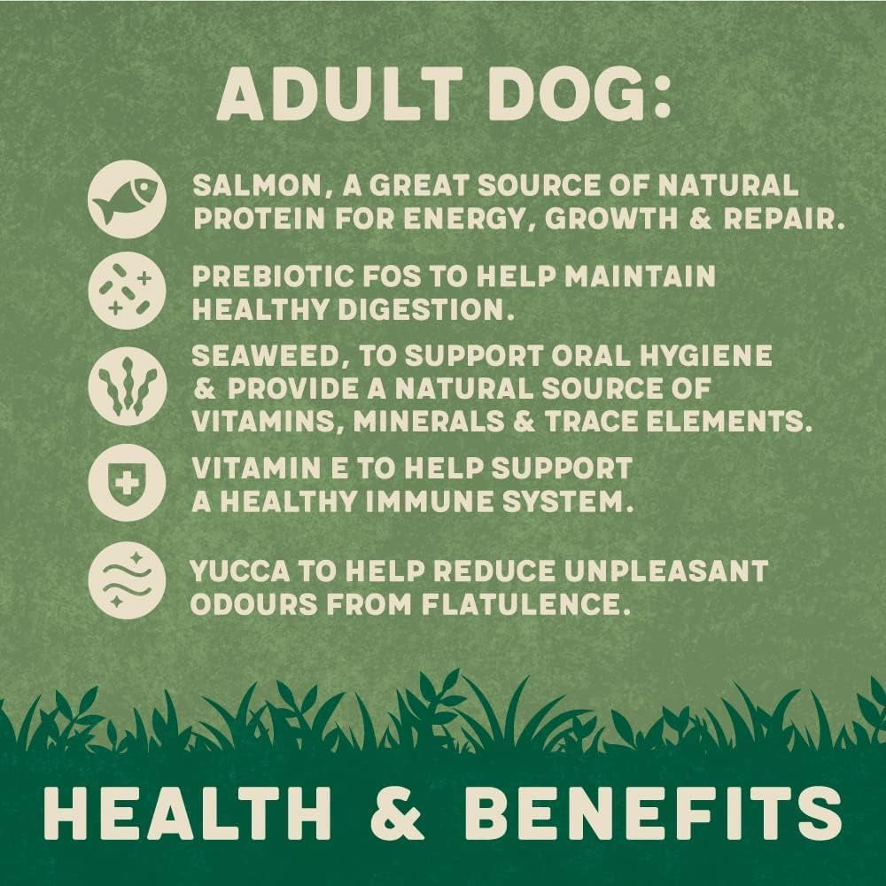 Complete Dry Adult Dog Food Salmon & Potato 18Kg - Made with All Natural Ingredients