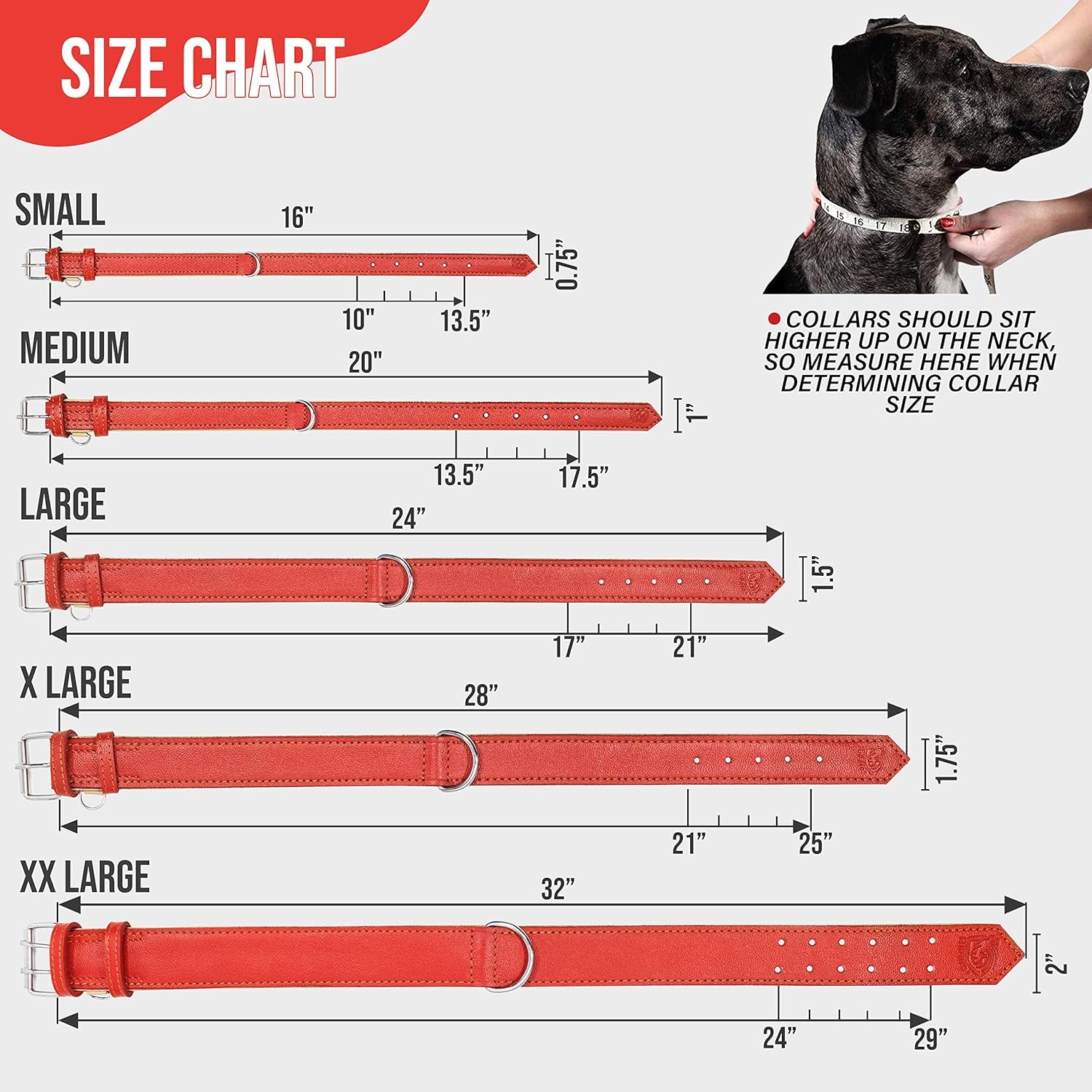 Riparo Genuine Leather Padded Dog Heavy Duty Adjustable Collar (L: 3.8CM Wide for 45.7CM - 53.3CM Neck, Red)