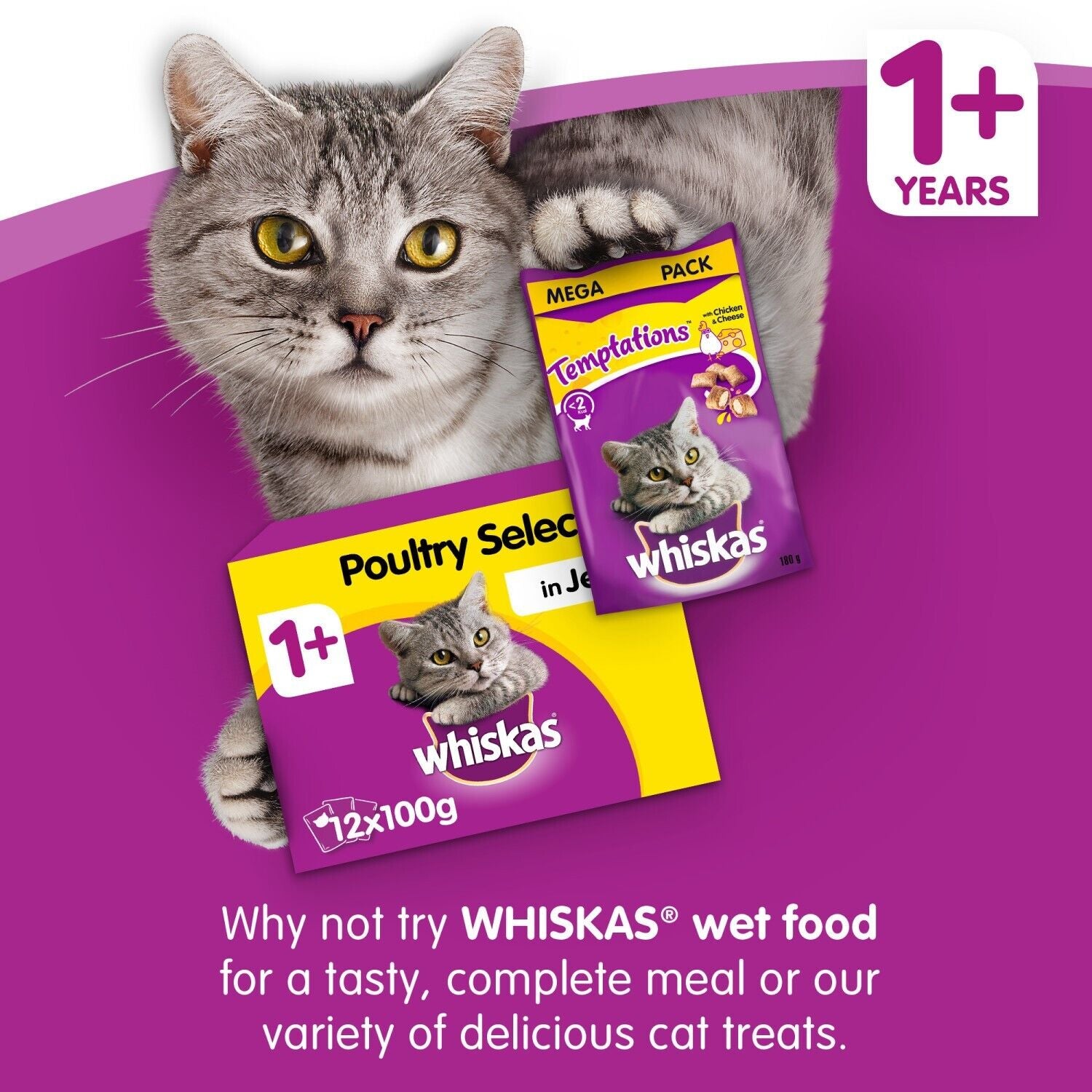 7Kg Whiskas 1+ Adult Complete Dry Cat Food with Tuna Bulk Pack Cat Biscuits