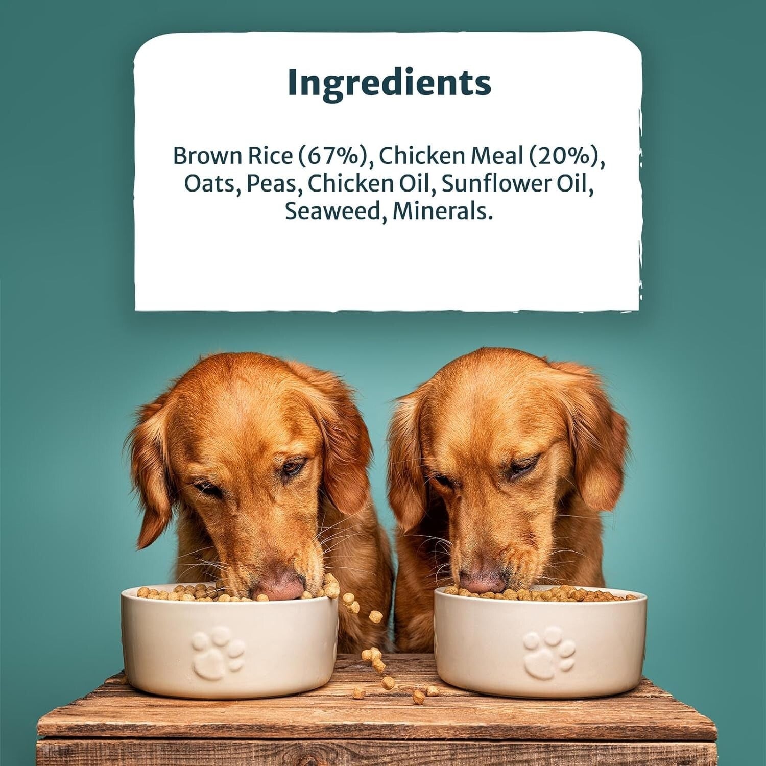 Burns Pet Nutrition Hypoallergenic Complete Dry Dog Food Adult and Senior Dog O