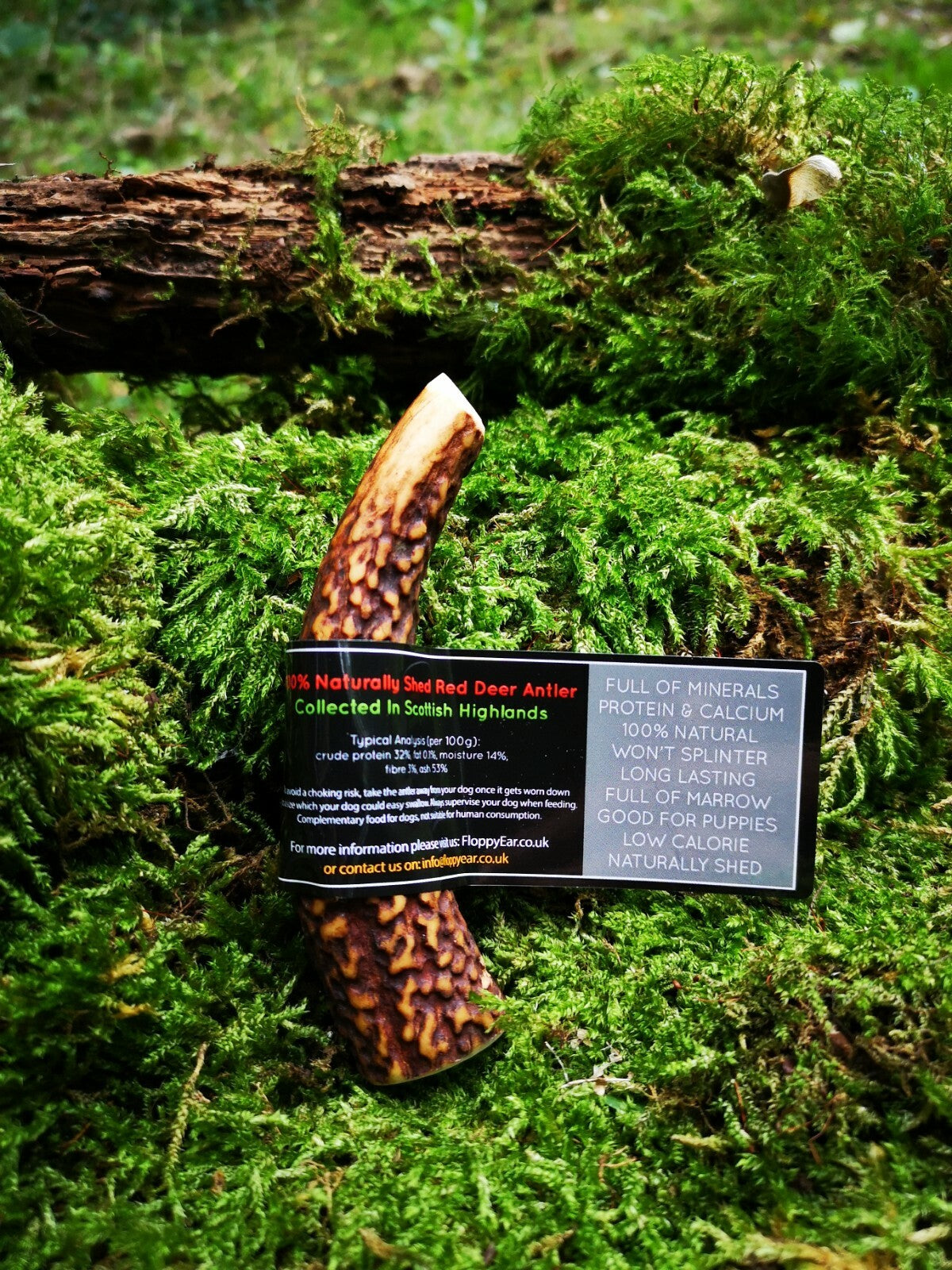 Scottish Red Deer Antler Dog Chew - Long Lasting - Full of Minerals 100% Natural