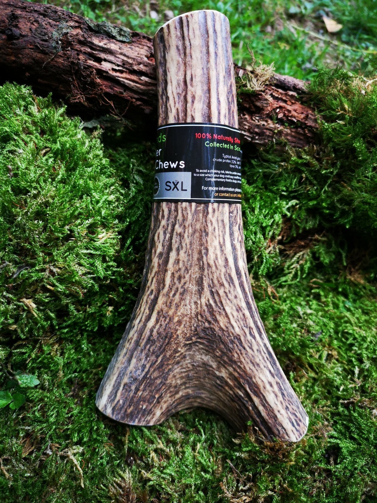 Scottish Red Deer Antler Dog Chew - Long Lasting - Full of Minerals 100% Natural