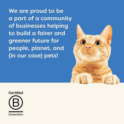 Applaws Natural Wet Cat Food Pouch, Fish Selection in Jelly 70 G (12 X 70 G Pouc