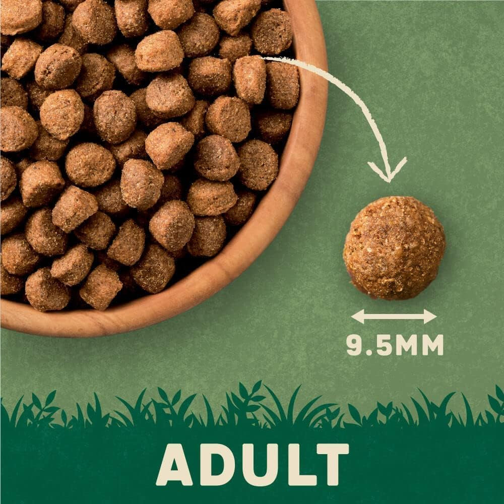 Complete Dry Adult Dog Food Lamb & Rice 15Kg - Made with All Natural Ingredients