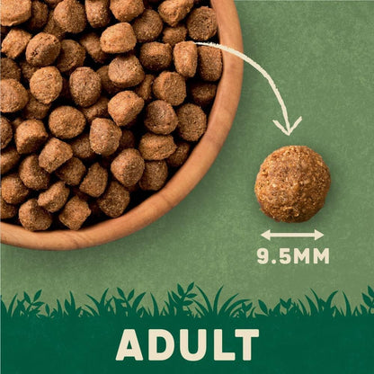 Complete Dry Adult Dog Food Salmon & Potato 18Kg - Made with All Natural Ingredients