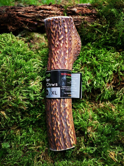 Scottish Red Deer Antler Dog Chew - Long Lasting - Full of Minerals 100% Natural
