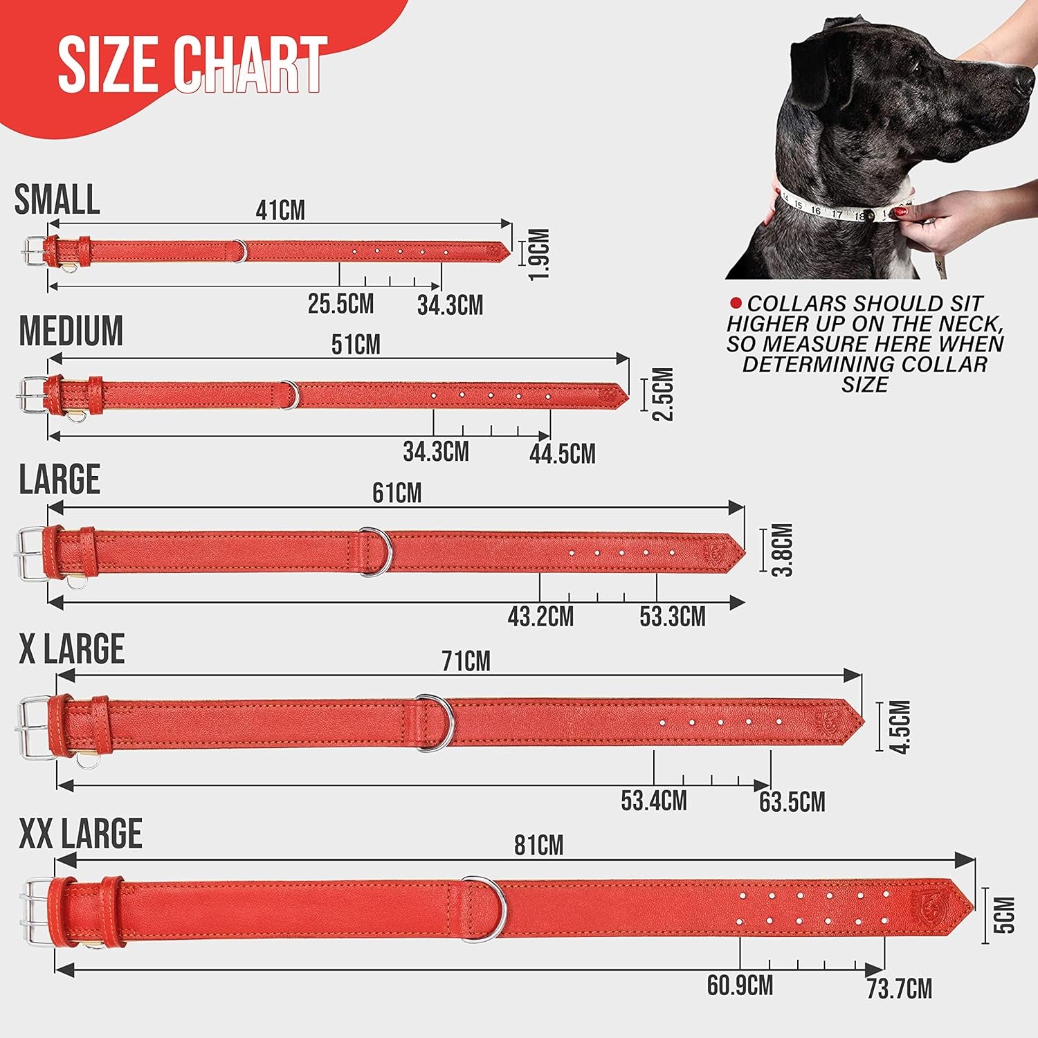 Riparo Genuine Leather Padded Dog Heavy Duty Adjustable Collar (L: 3.8CM Wide for 45.7CM - 53.3CM Neck, Red)
