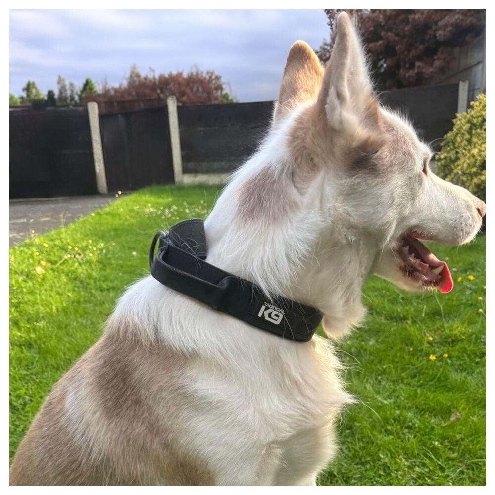 Hugglepets Tactical K9 Dog Collar Endurance Adjustable Heavy Duty Control Handle