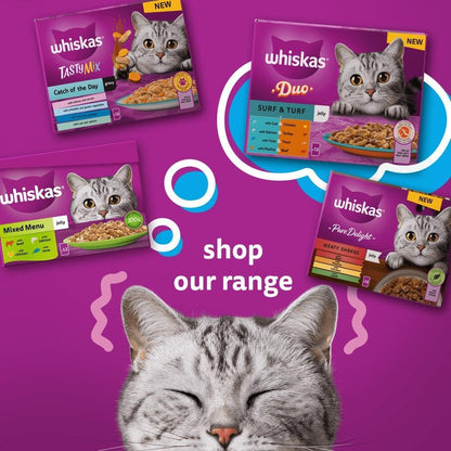 - 1+ Adult Wet Cat Food Pouches - 40 X 85 G - Poultry Selection - Bulk Cat Food Megapack - 40 Jelly Pouches