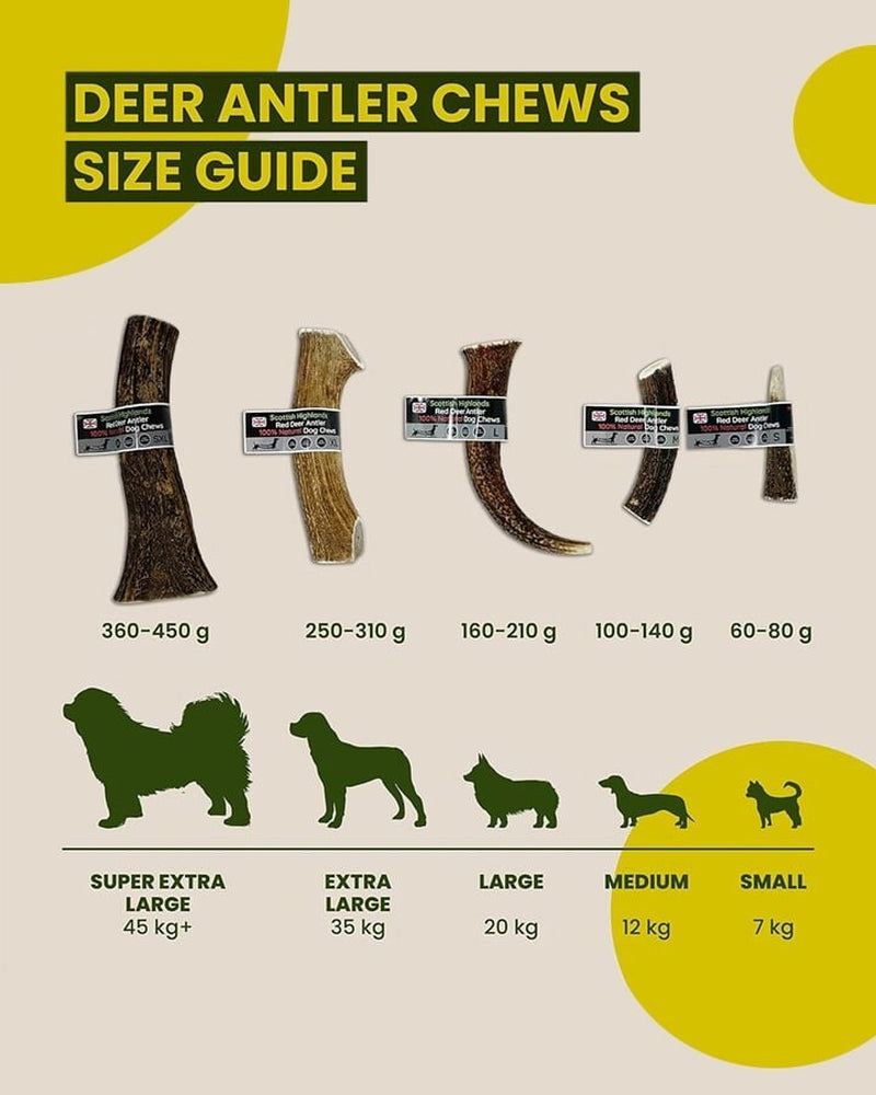 Scottish Red Deer Antler Dog Chew - Long Lasting - Full of Minerals 100% Natural