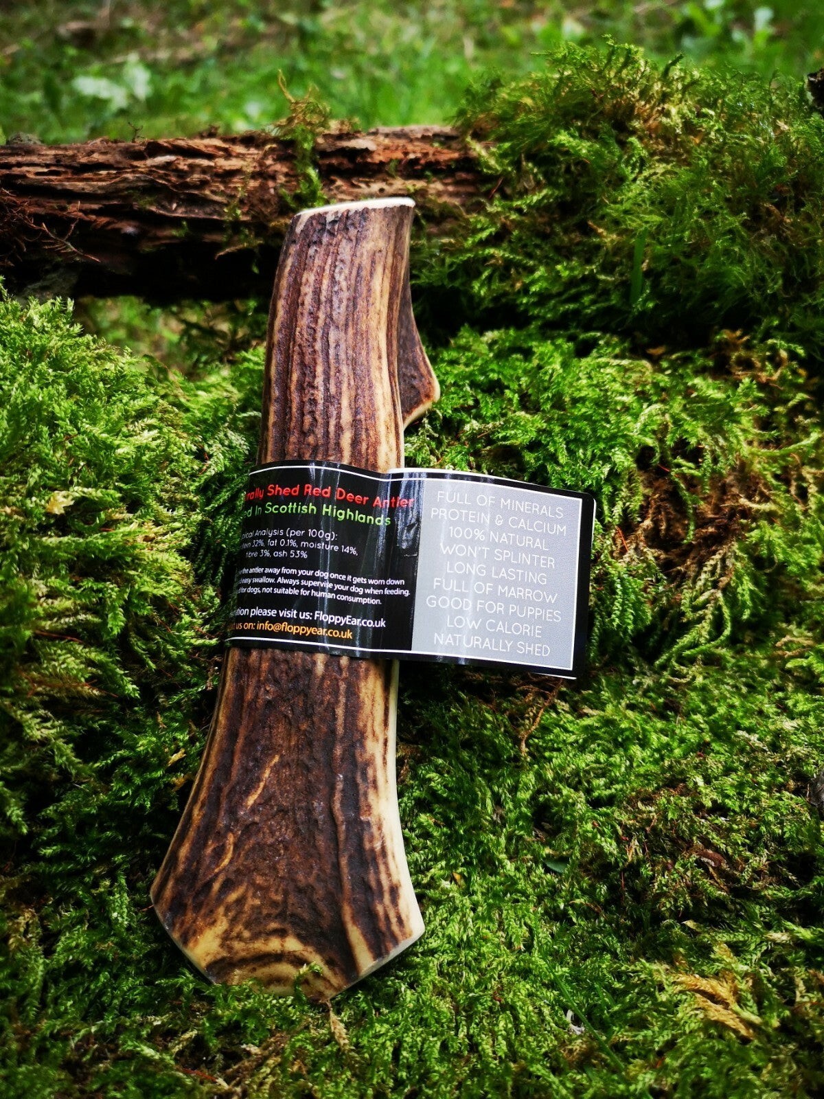 Scottish Red Deer Antler Dog Chew - Long Lasting - Full of Minerals 100% Natural