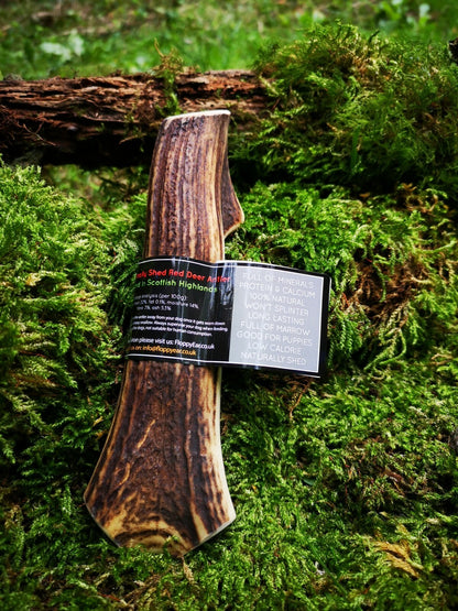 Scottish Red Deer Antler Dog Chew - Long Lasting - Full of Minerals 100% Natural