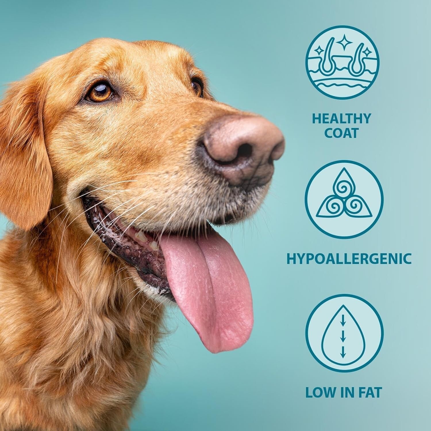 Burns Pet Nutrition Hypoallergenic Complete Dry Dog Food Adult and Senior Dog O