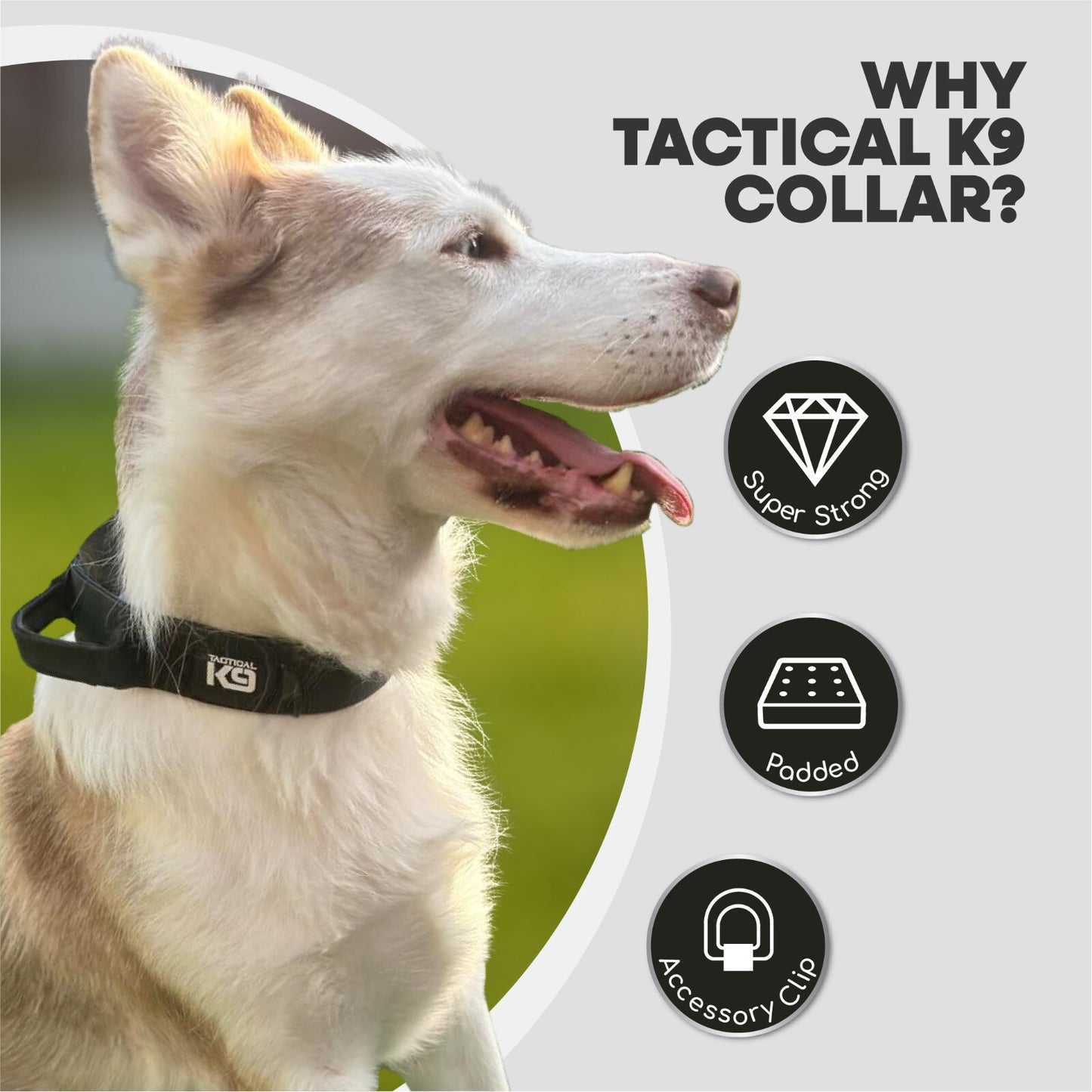 Hugglepets Tactical K9 Dog Collar Endurance Adjustable Heavy Duty Control Handle