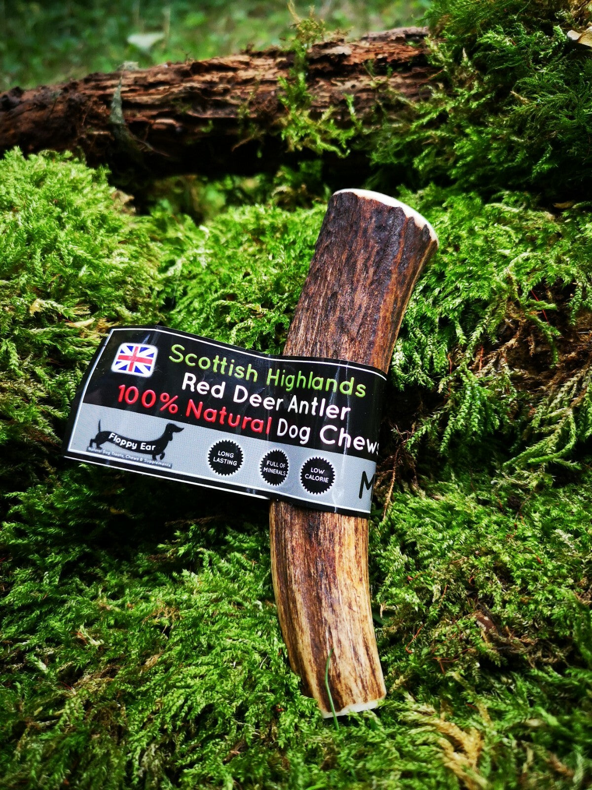 Scottish Red Deer Antler Dog Chew - Long Lasting - Full of Minerals 100% Natural