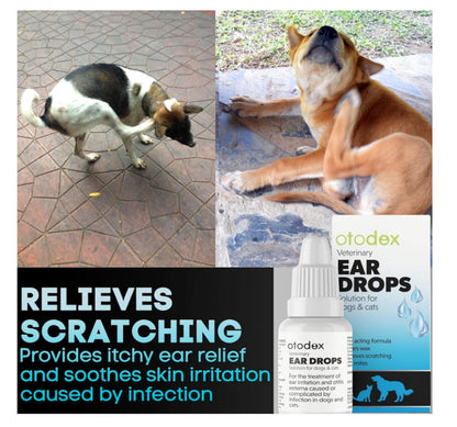 2 X 14Ml Petlife Otodex Ear Drops Dog Cat Clears Wax Mites Cleanser Itching