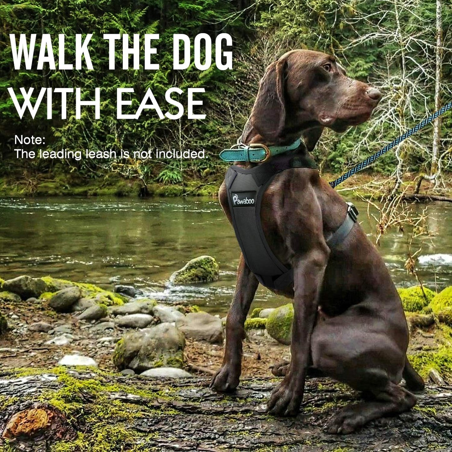 Premium Dog Safety Vest Harness - Adjustable Car Harness with Buckle Clip for Secure Travel of Small and Medium Dogs in Black