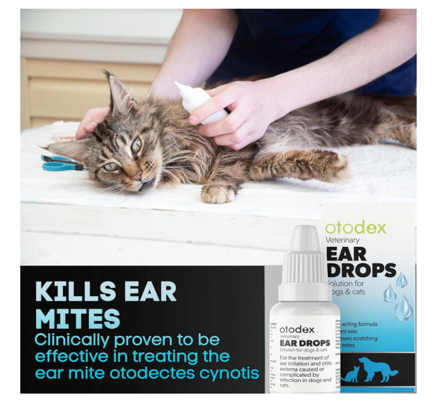 2 X 14Ml Petlife Otodex Ear Drops Dog Cat Clears Wax Mites Cleanser Itching