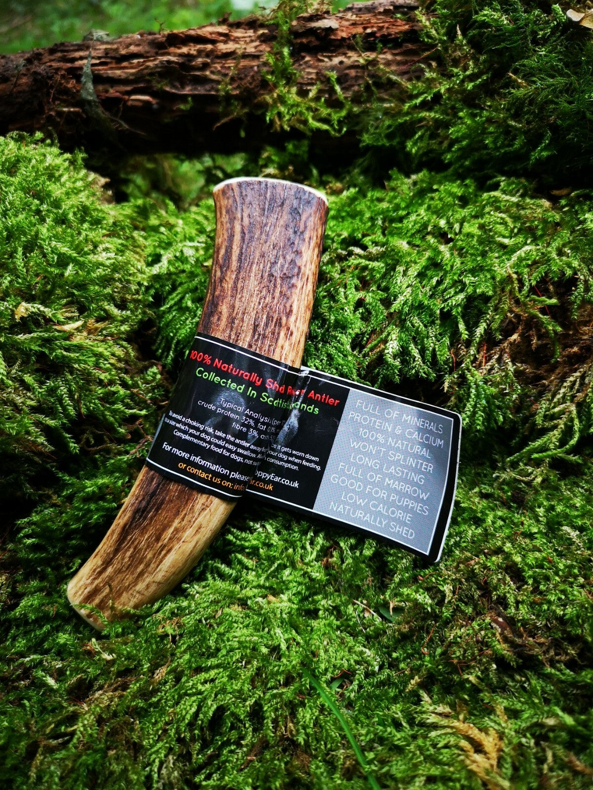 Scottish Red Deer Antler Dog Chew - Long Lasting - Full of Minerals 100% Natural