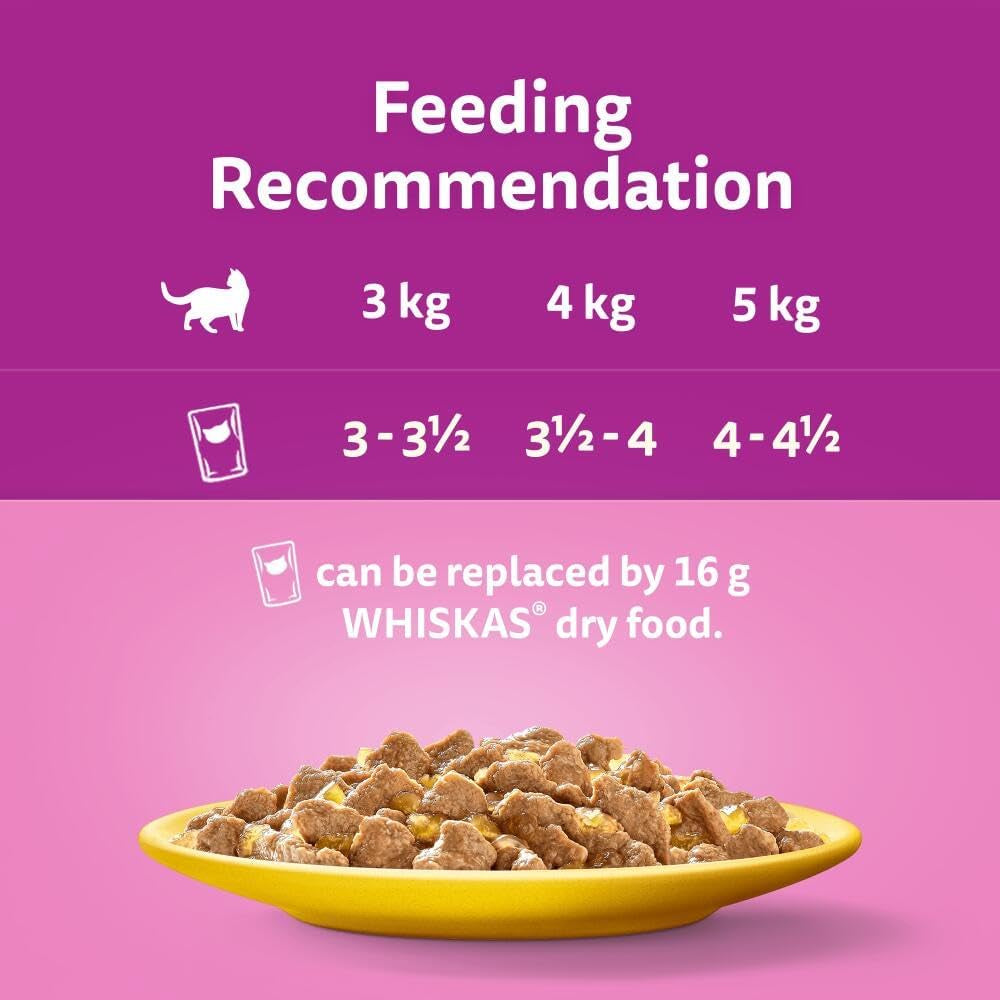 - 1+ Adult Wet Cat Food Pouches - 40 X 85 G - Poultry Selection - Bulk Cat Food Megapack - 40 Jelly Pouches