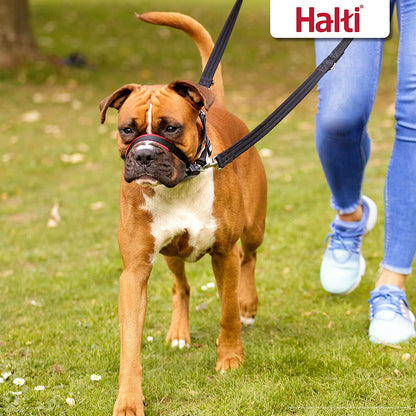 HALTI Optifit Headcollar Size Medium, Dog Head Harness to Stop Pulling on the Lead, Easy to Use, Adjustable & Reflective Head Collar for Dogs, Professional Anti-Pull Training Aid, Black