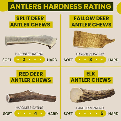 Scottish Red Deer Antler Dog Chew - Long Lasting - Full of Minerals 100% Natural