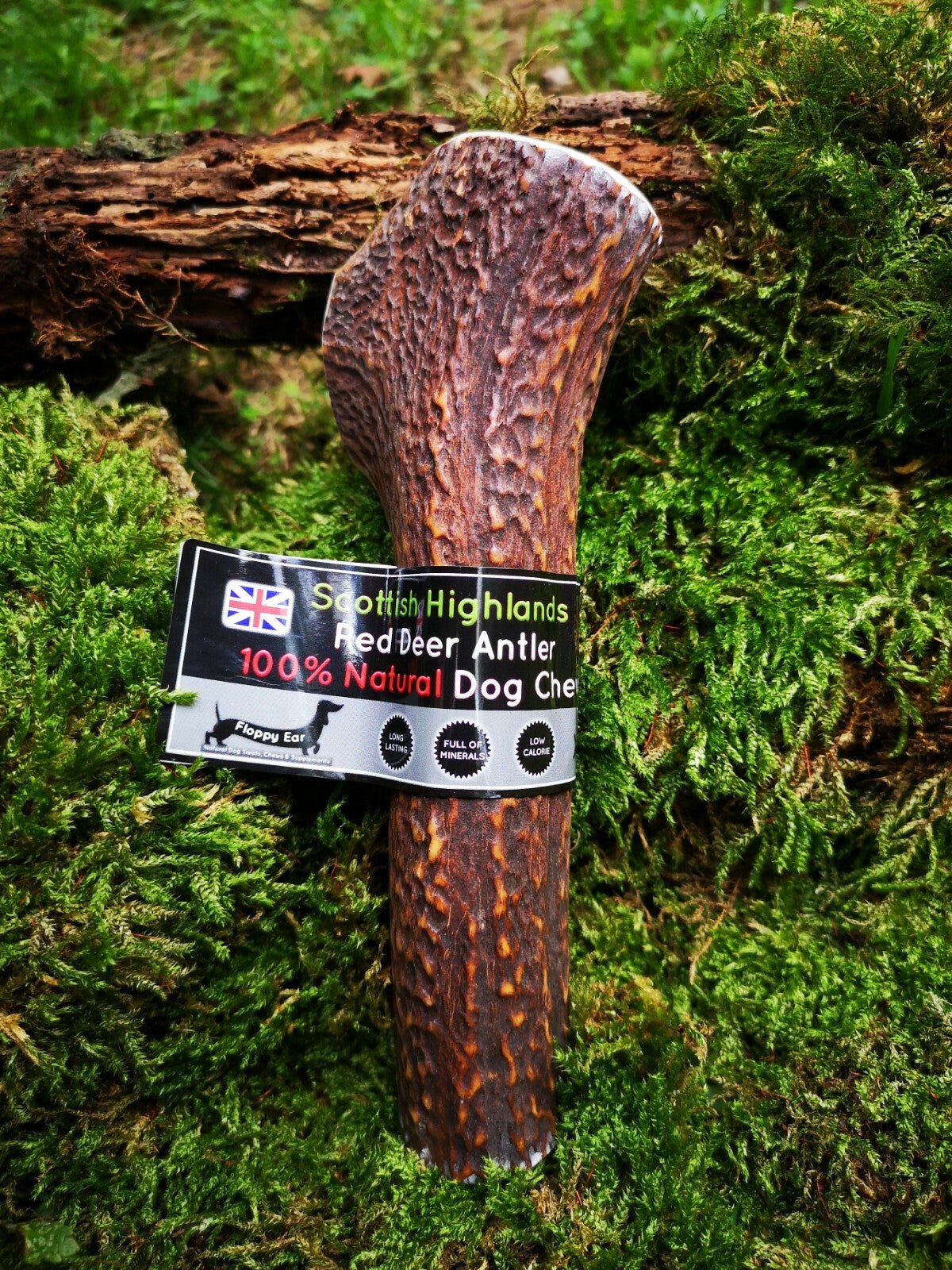 Scottish Red Deer Antler Dog Chew - Long Lasting - Full of Minerals 100% Natural