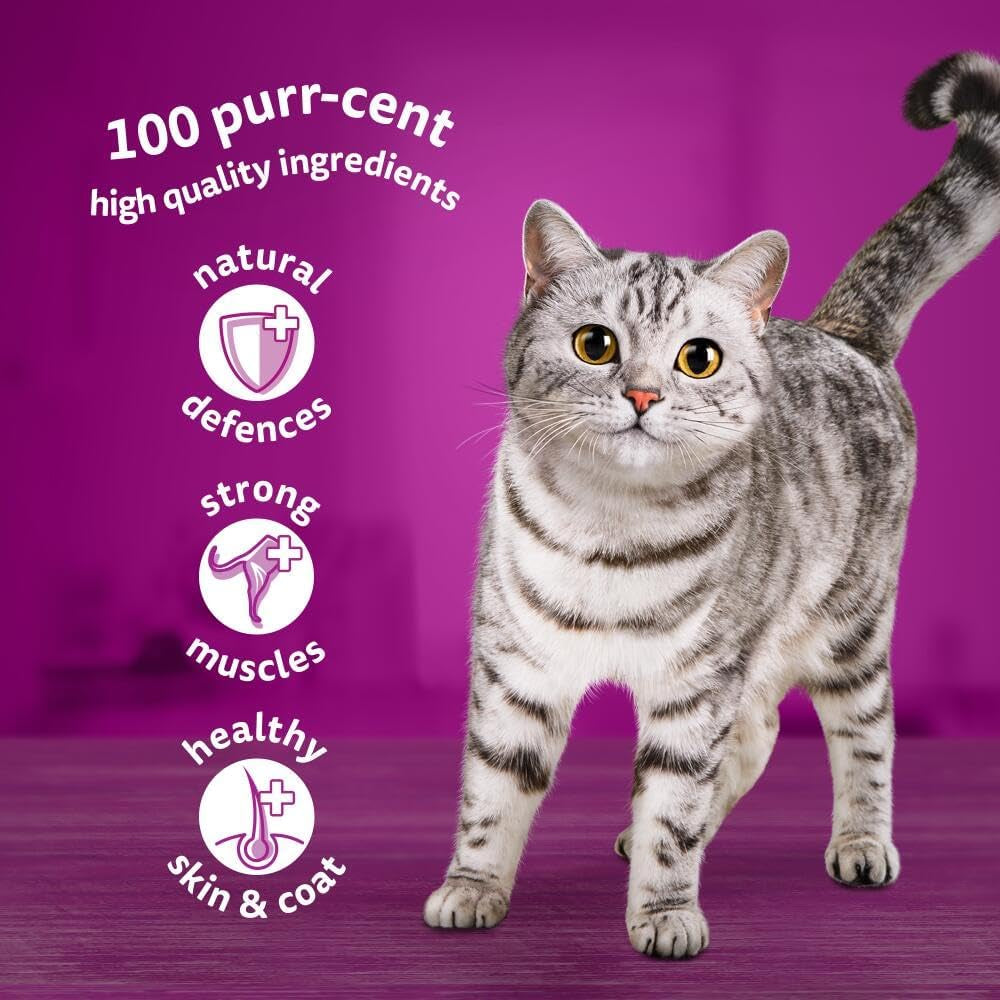 - 1+ Adult Wet Cat Food Pouches - 40 X 85 G - Poultry Selection - Bulk Cat Food Megapack - 40 Jelly Pouches